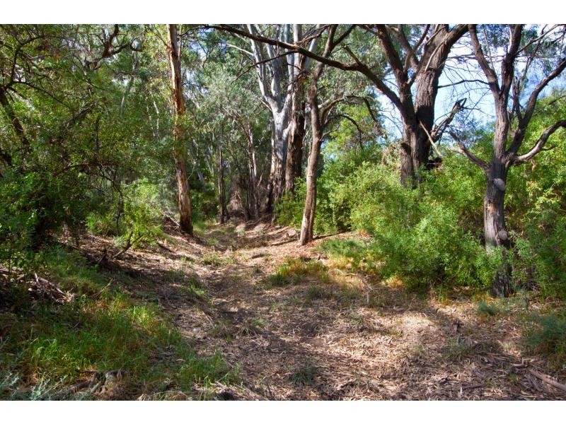 45-47 Wentworth Street, Wentworth NSW 2648