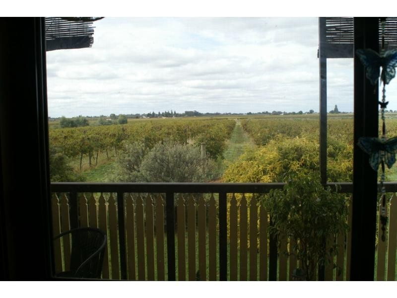 555 Paschendale Avenue, Merbein VIC 3505