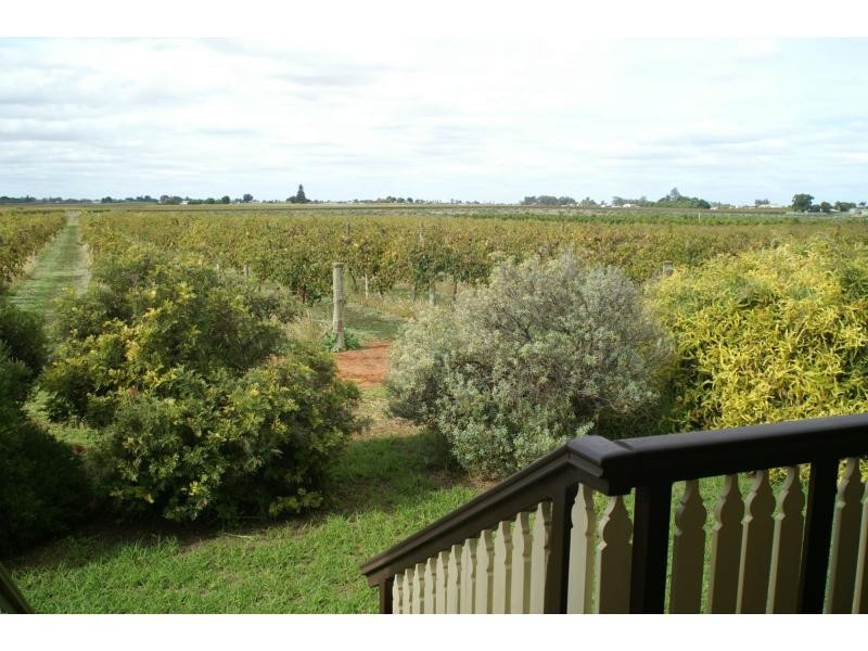 555 Paschendale Avenue, Merbein VIC 3505