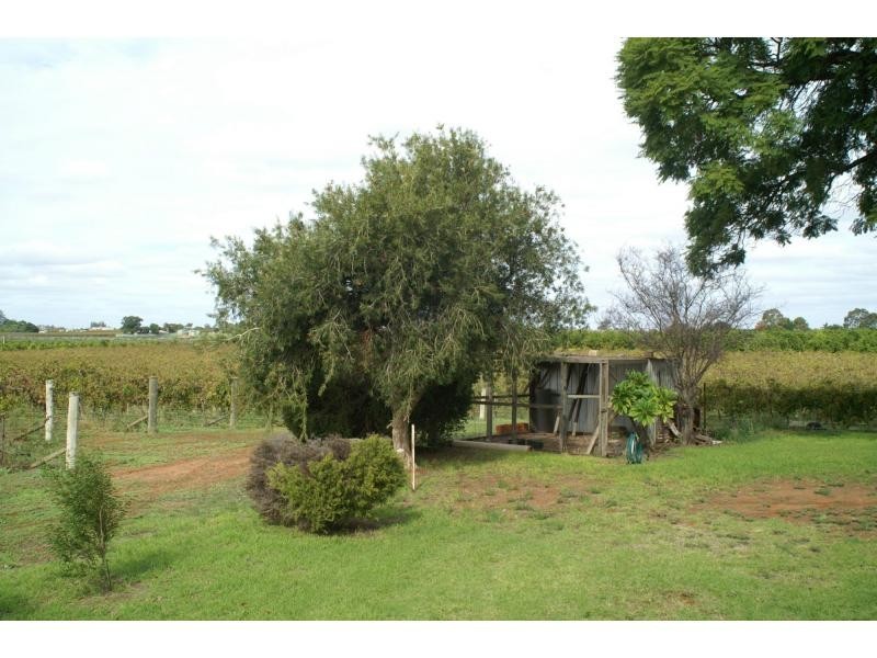 555 Paschendale Avenue, Merbein VIC 3505