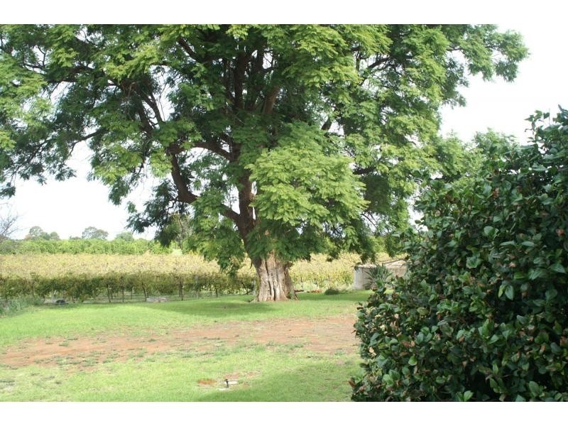 555 Paschendale Avenue, Merbein VIC 3505