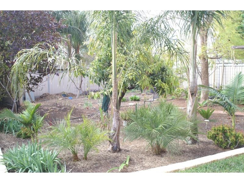 15 Chaffey Street, Merbein VIC 3505