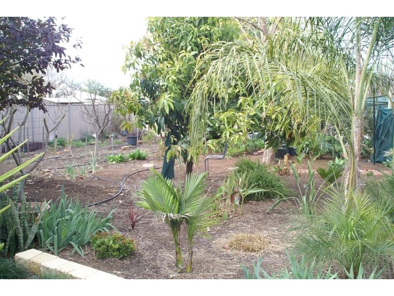 15 Chaffey Street, Merbein VIC 3505