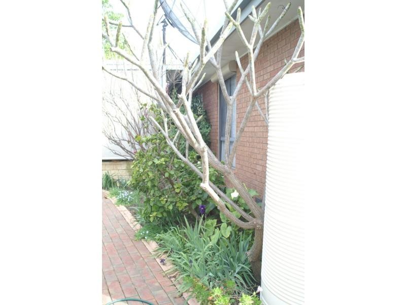 15 Chaffey Street, Merbein VIC 3505