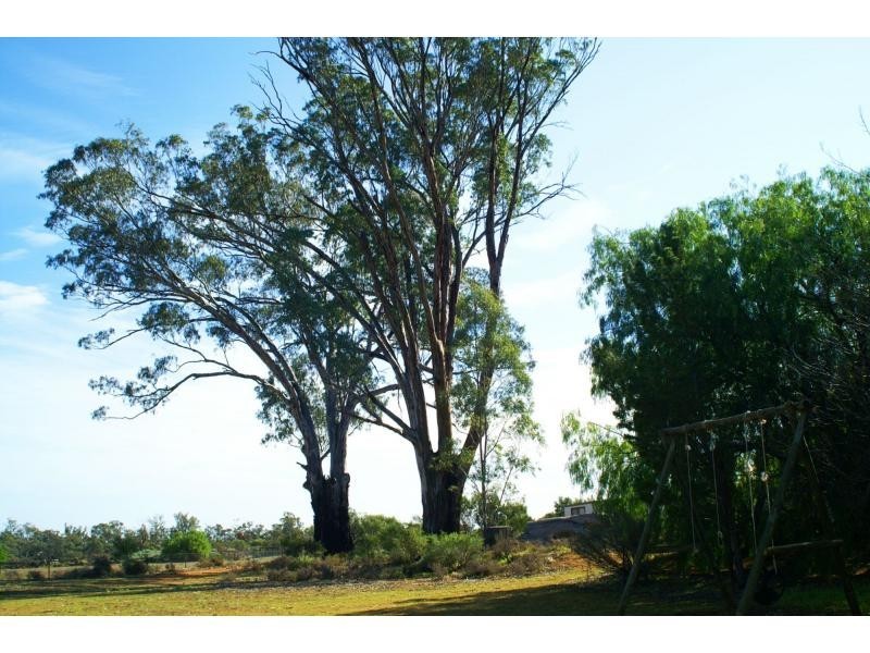 733b Cal Lal Road, Rufus, Wentworth NSW 2648