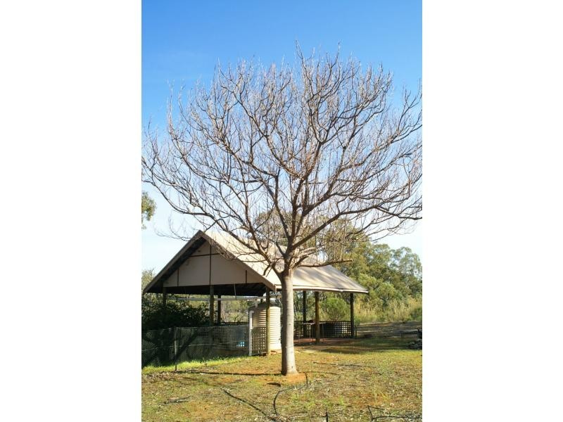 733b Cal Lal Road, Rufus, Wentworth NSW 2648