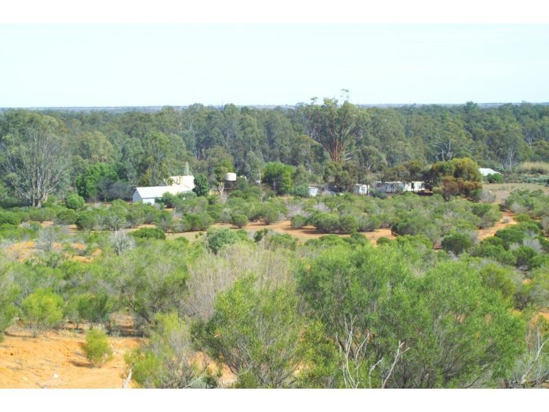 733b Cal Lal Road, Rufus, Wentworth NSW 2648