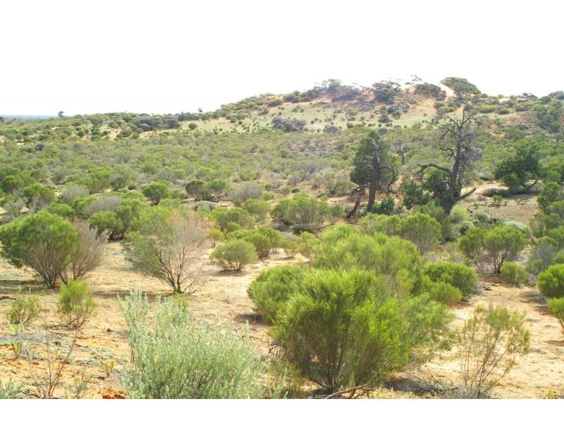 733b Cal Lal Road, Rufus, Wentworth NSW 2648