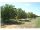 76 Third Street, Merbein VIC 3505