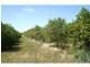 76 Third Street, Merbein VIC 3505