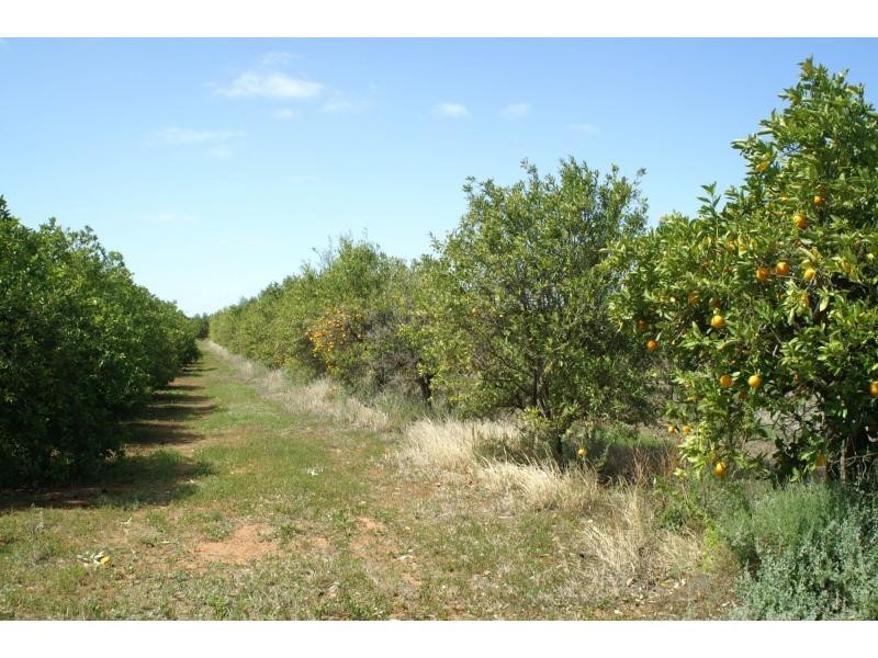 76 Third Street, Merbein VIC 3505
