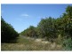76 Third Street, Merbein VIC 3505