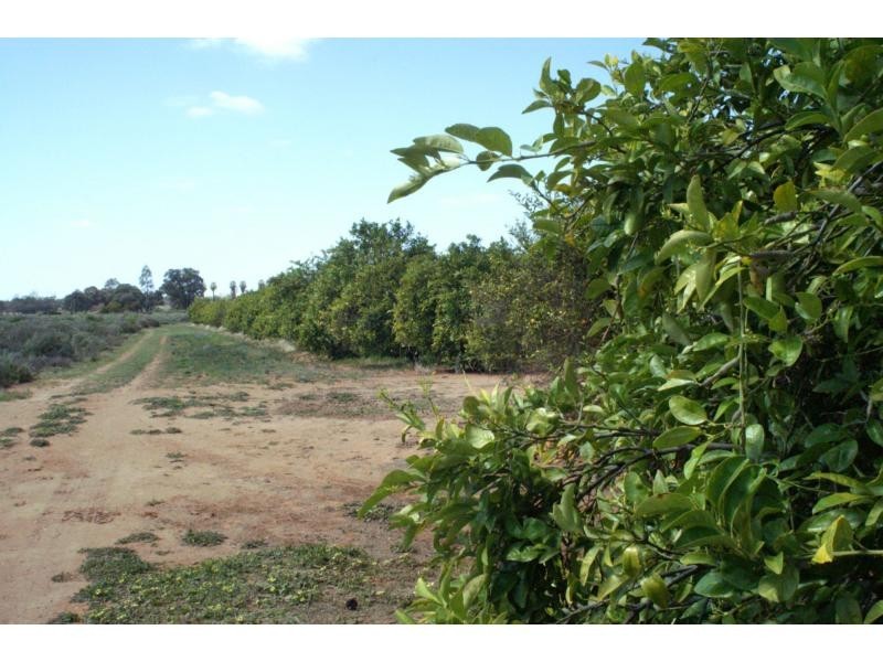 76 Third Street, Merbein VIC 3505