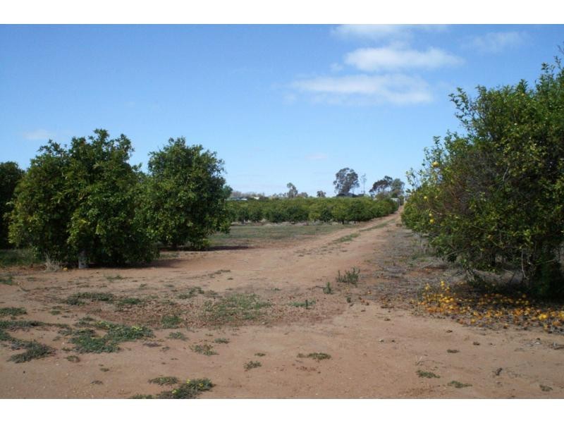 76 Third Street, Merbein VIC 3505