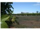 76 Third Street, Merbein VIC 3505