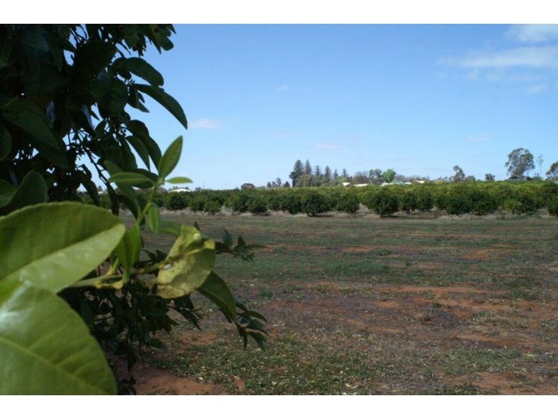 76 Third Street, Merbein VIC 3505