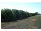 76 Third Street, Merbein VIC 3505