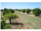 76 Third Street, Merbein VIC 3505