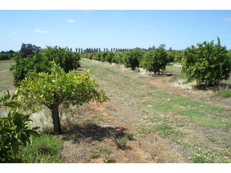 76 Third Street, Merbein VIC 3505