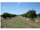 76 Third Street, Merbein VIC 3505
