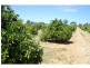 76 Third Street, Merbein VIC 3505