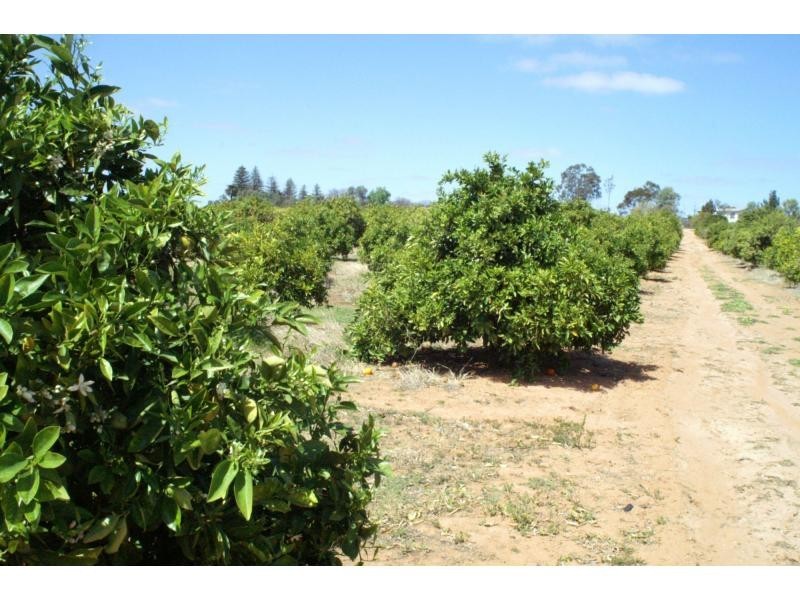 76 Third Street, Merbein VIC 3505