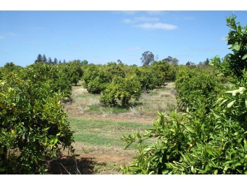76 Third Street, Merbein VIC 3505