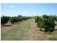 76 Third Street, Merbein VIC 3505