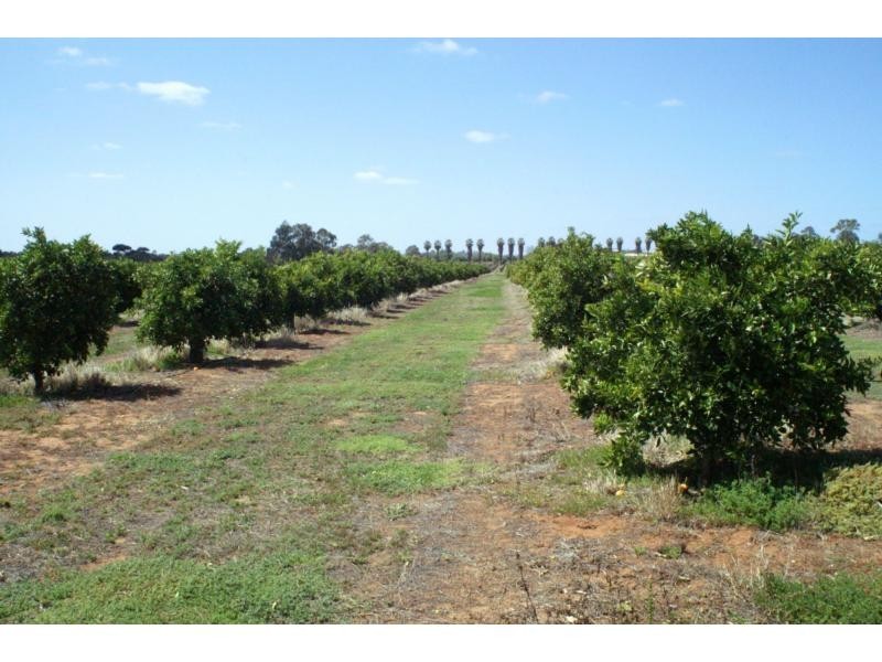 76 Third Street, Merbein VIC 3505