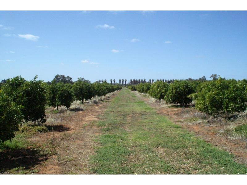 76 Third Street, Merbein VIC 3505