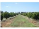 76 Third Street, Merbein VIC 3505