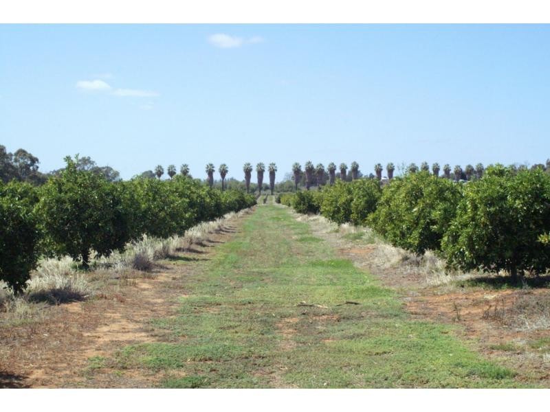 76 Third Street, Merbein VIC 3505