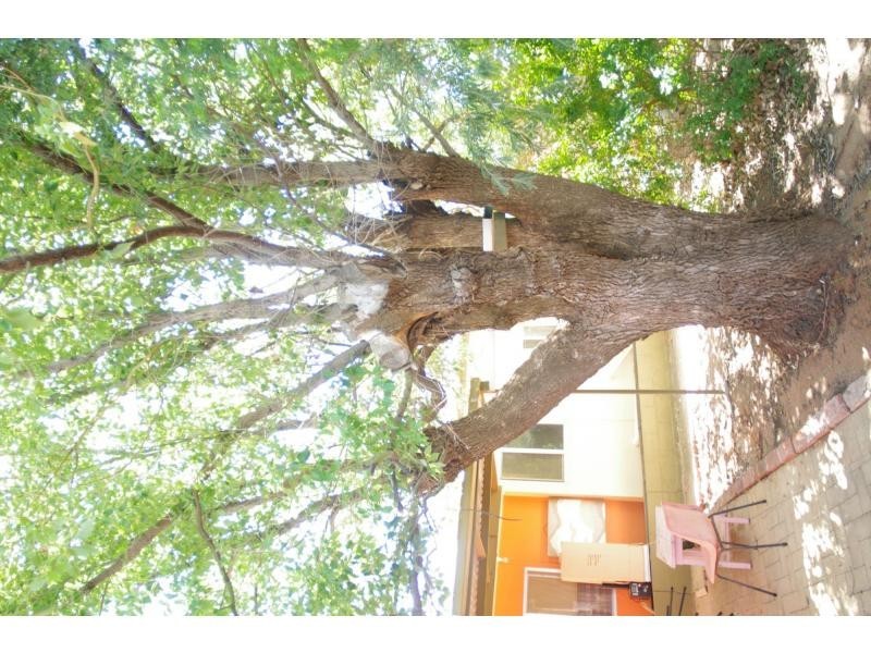 2-6 Third Street, Merbein VIC 3505