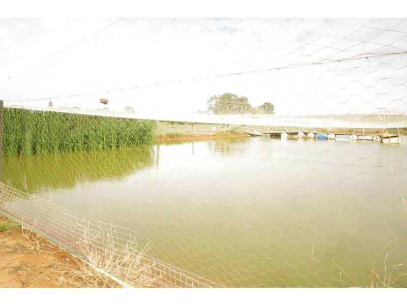 587a Paschendale Avenue, Merbein VIC 3505