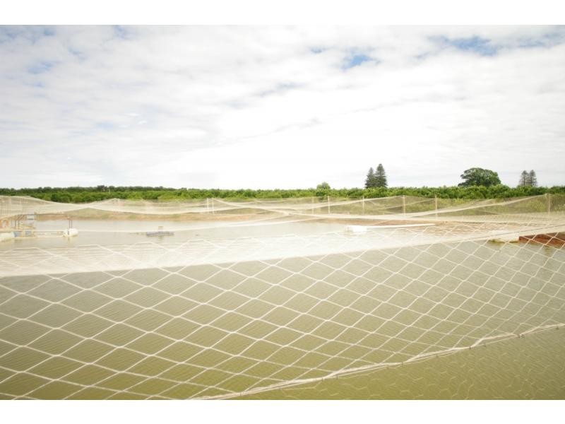 587a Paschendale Avenue, Merbein VIC 3505