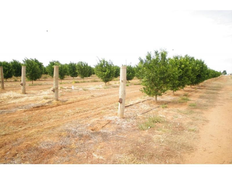 587a Paschendale Avenue, Merbein VIC 3505