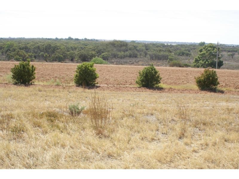 L2 McEdward Street, Birdwoodton VIC 3505