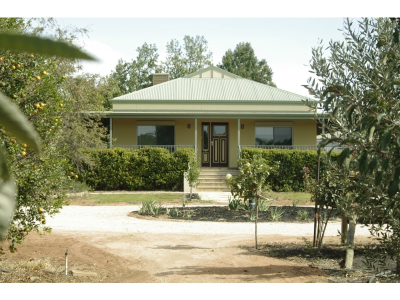 229 Main Avenue, Merbein VIC 3505