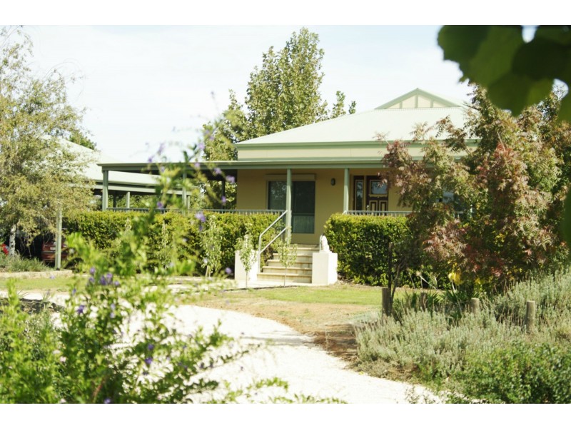 229 Main Avenue, Merbein VIC 3505