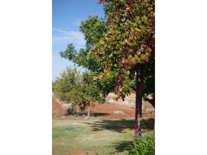 229 Main Avenue, Merbein VIC 3505