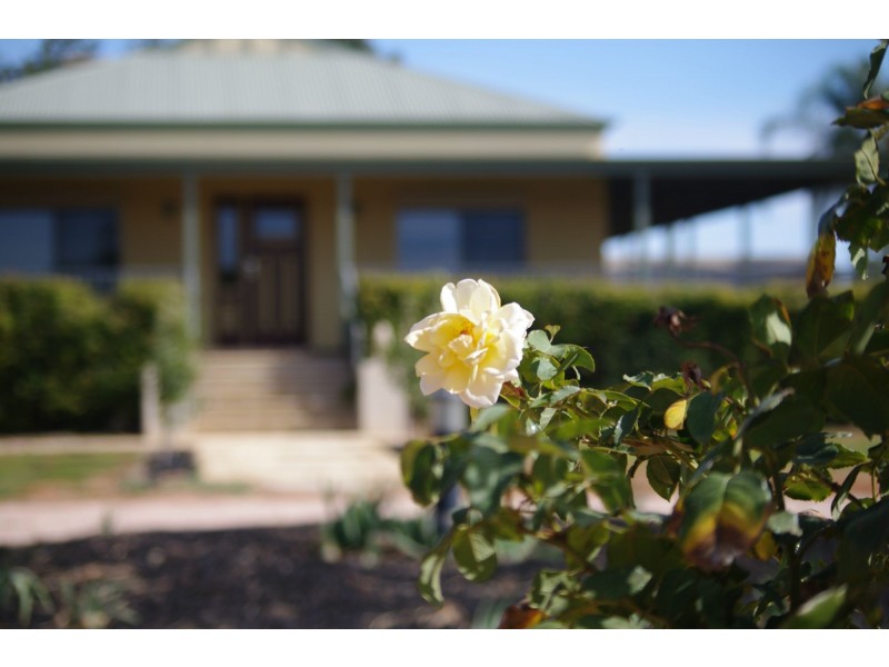 229 Main Avenue, Merbein VIC 3505