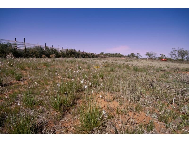 29 Harris Road, Merbein South VIC 3505