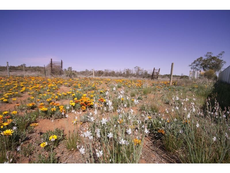 29 Harris Road, Merbein South VIC 3505