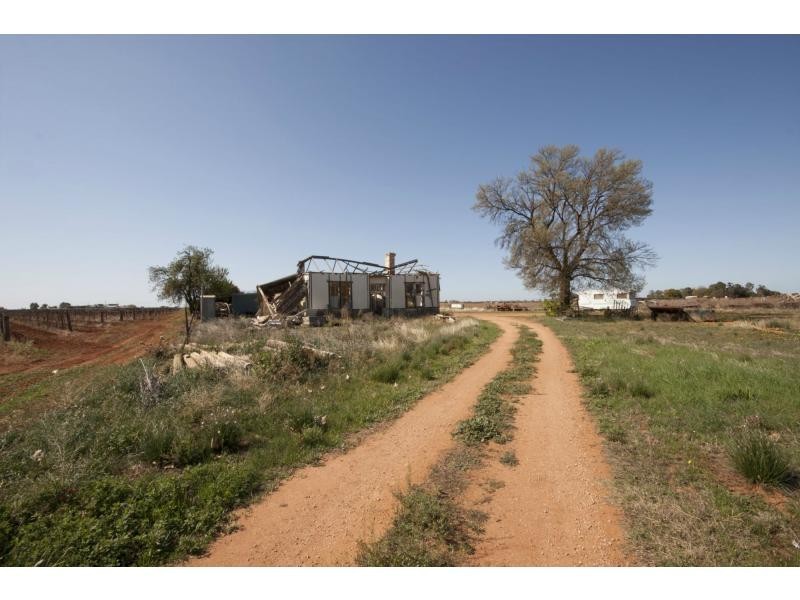 79 Bridley Road, Birdwoodton VIC 3505