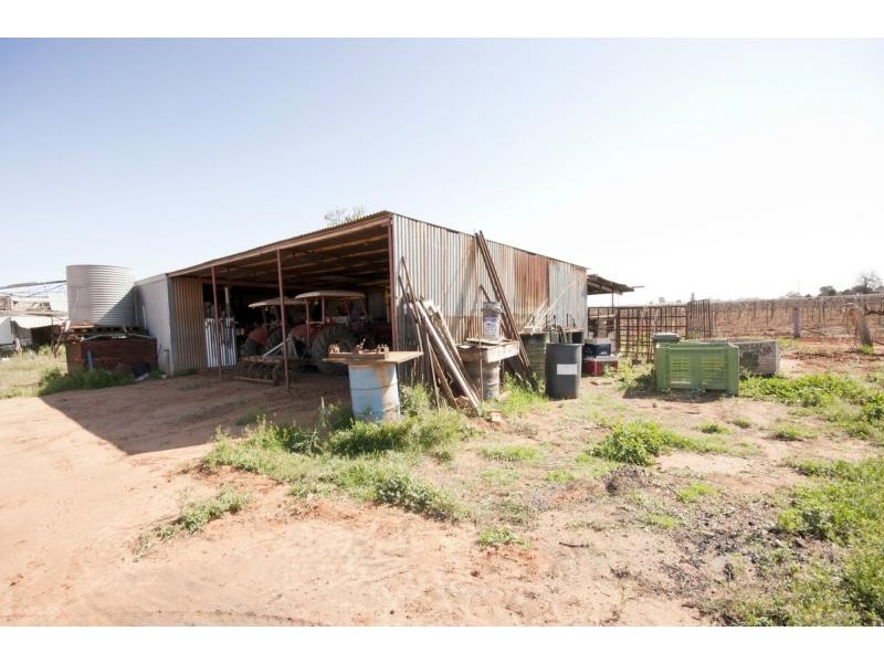 79 Bridley Road, Birdwoodton VIC 3505