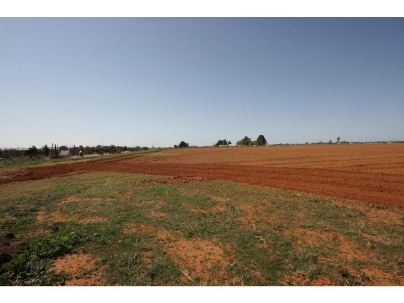 79 Bridley Road, Birdwoodton VIC 3505