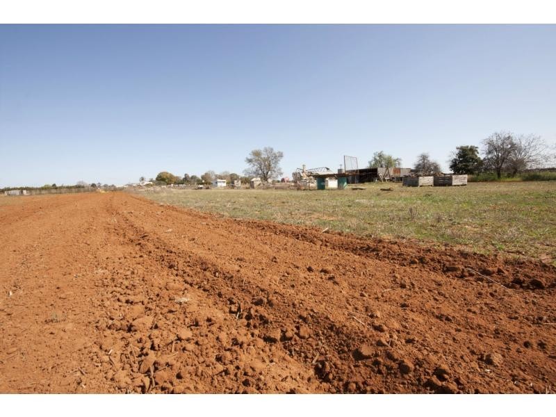 79 Bridley Road, Birdwoodton VIC 3505