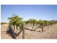 395 Woomera Avenue, Red Cliffs VIC 3496