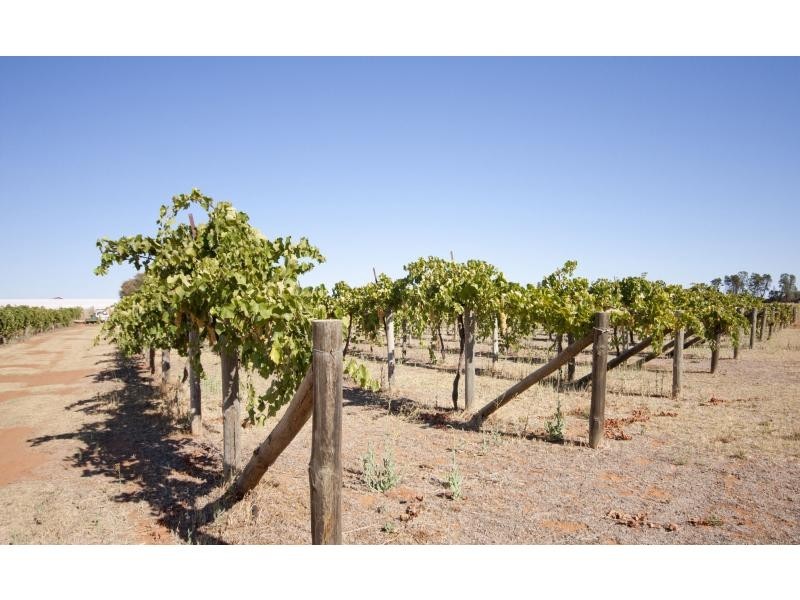 395 Woomera Avenue, Red Cliffs VIC 3496