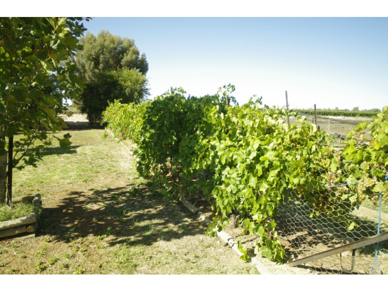 Lot 1, 63 Myall Lane, Merbein VIC 3505